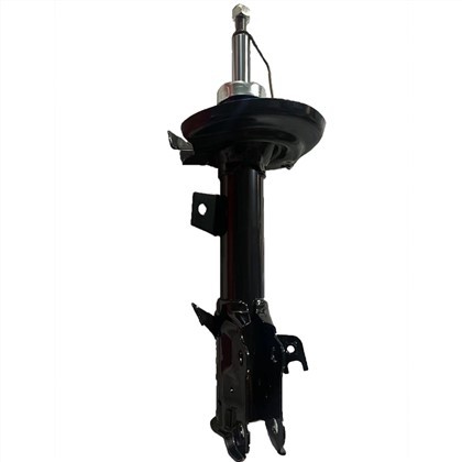 Amortidor Ford BE8Z18124B
